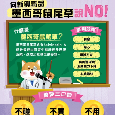 拒絕毒品宣導文宣-向新興毒品墨西哥鼠尾草說_NO！